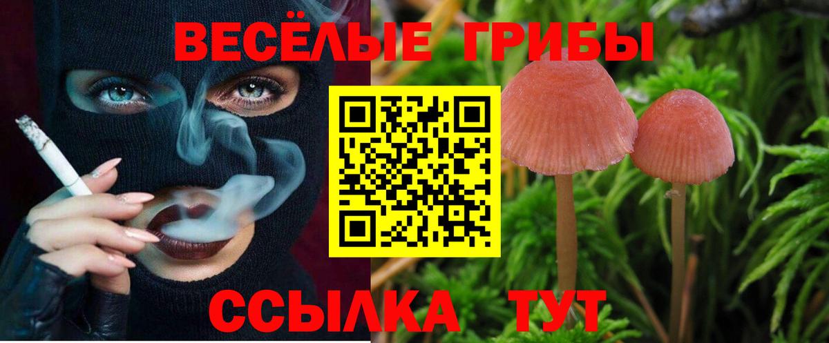 БУТИРАТ Ростов-на-Дону